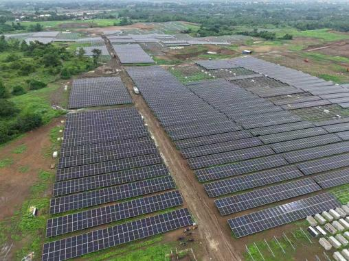 澳门免费原料网官网